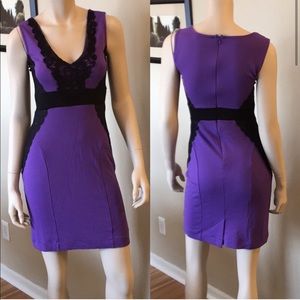 Venus Purple and Black Dress